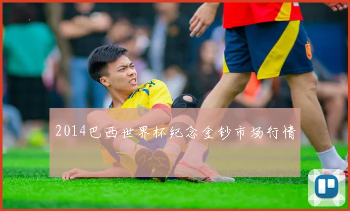 2014巴西世界杯纪念金钞市场行情