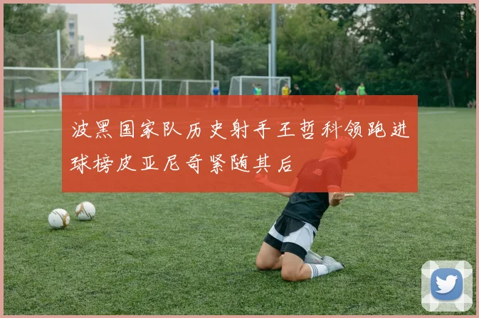 波黑国家队历史射手王哲科领跑进球榜皮亚尼奇紧随其后