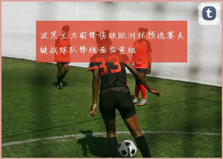 波黑主力前锋伤缺欧洲杯预选赛关键战球队锋线面临重组